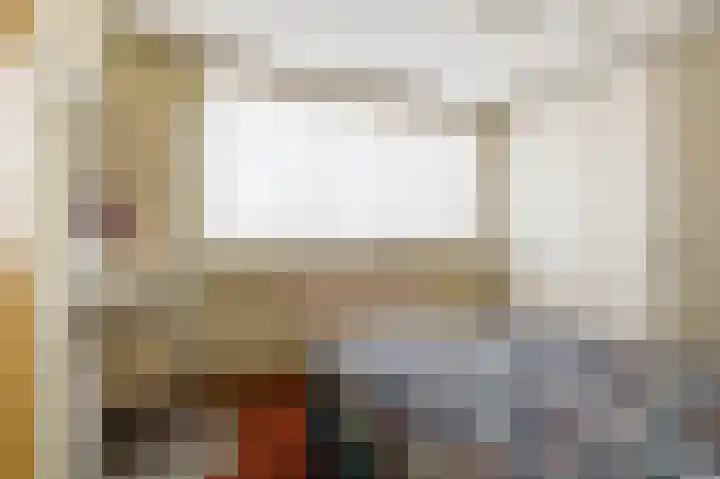 Mendelssohnlaan 1 Culemborg thumbnail 21