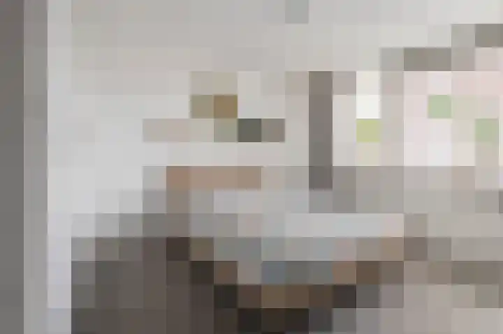 Mendelssohnlaan 1 Culemborg thumbnail 22