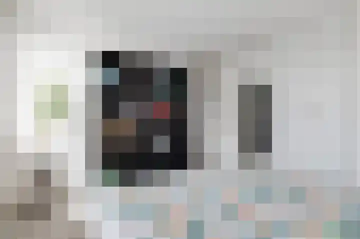 Mendelssohnlaan 1 Culemborg thumbnail 23