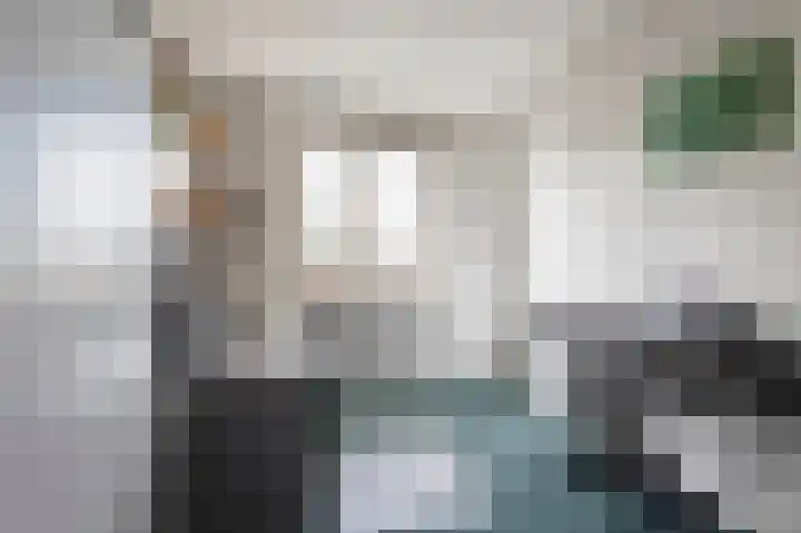 Mendelssohnlaan 1 Culemborg thumbnail 24