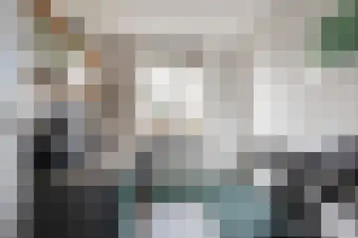 Mendelssohnlaan 1 Culemborg thumbnail 25