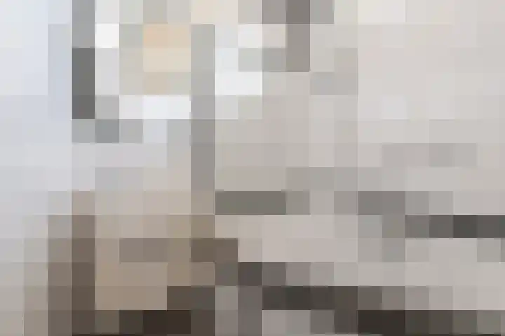 Mendelssohnlaan 1 Culemborg thumbnail 27