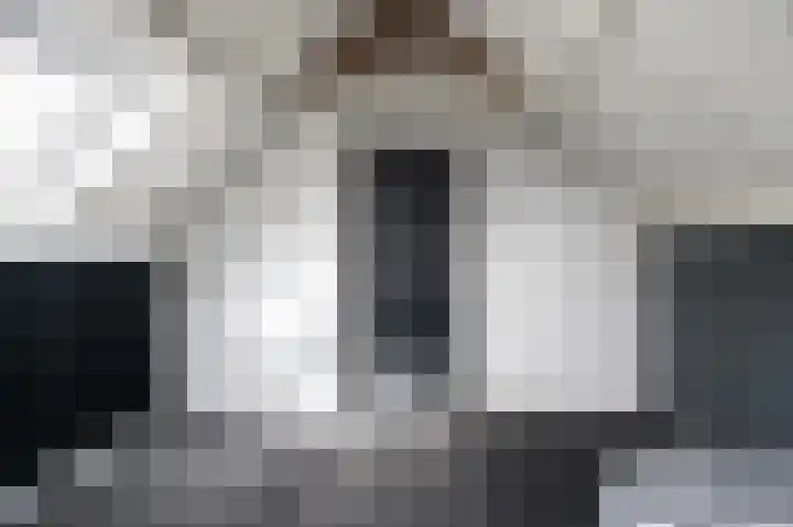 Mendelssohnlaan 1 Culemborg thumbnail 30