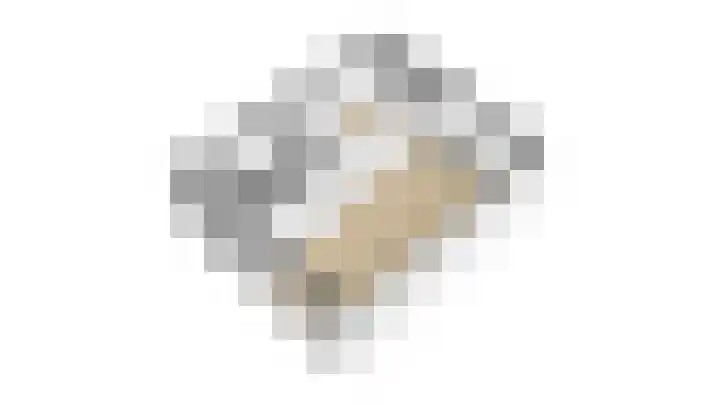Mendelssohnlaan 1 Culemborg thumbnail 34