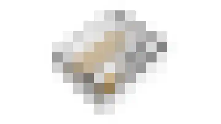 Mendelssohnlaan 1 Culemborg thumbnail 35