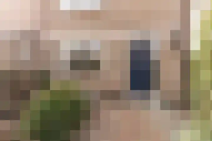 Mendelssohnlaan 1 Culemborg thumbnail 4
