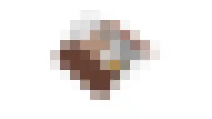 Mendelssohnlaan 1 Culemborg thumbnail 41