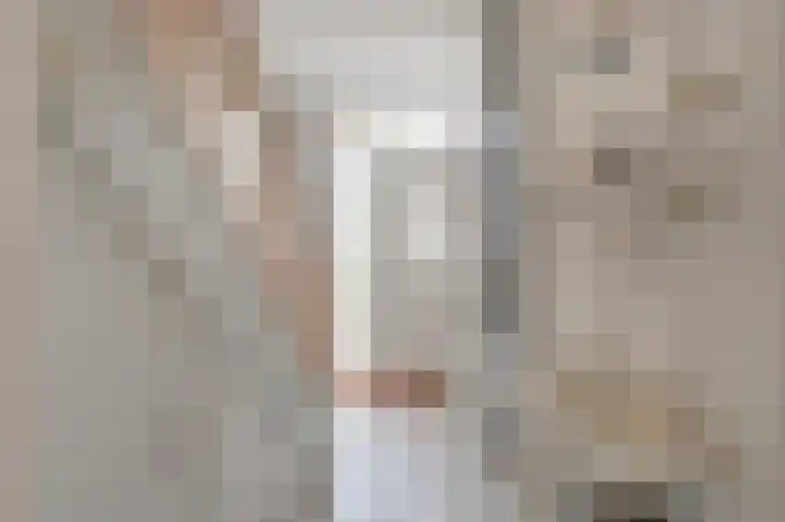 Mendelssohnlaan 1 Culemborg thumbnail 5