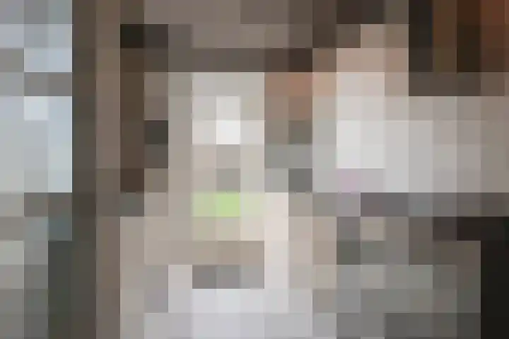 Mendelssohnlaan 1 Culemborg thumbnail 6
