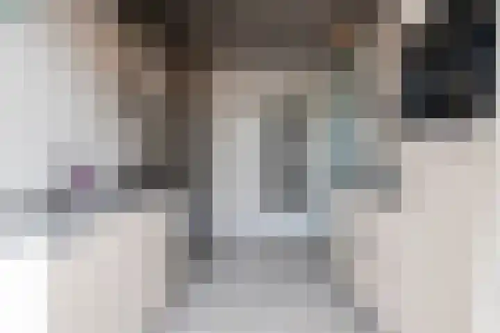 Mendelssohnlaan 1 Culemborg thumbnail 7