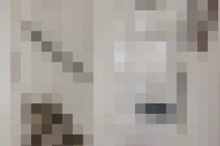 Mendelssohnlaan 10 Voorthuizen thumbnail 10