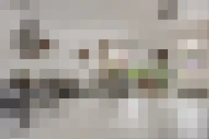 Mendelssohnlaan 10 Voorthuizen thumbnail 12