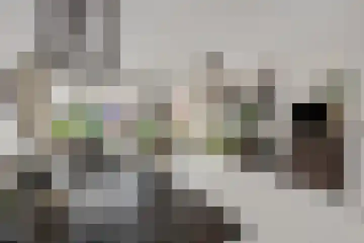Mendelssohnlaan 10 Voorthuizen thumbnail 14
