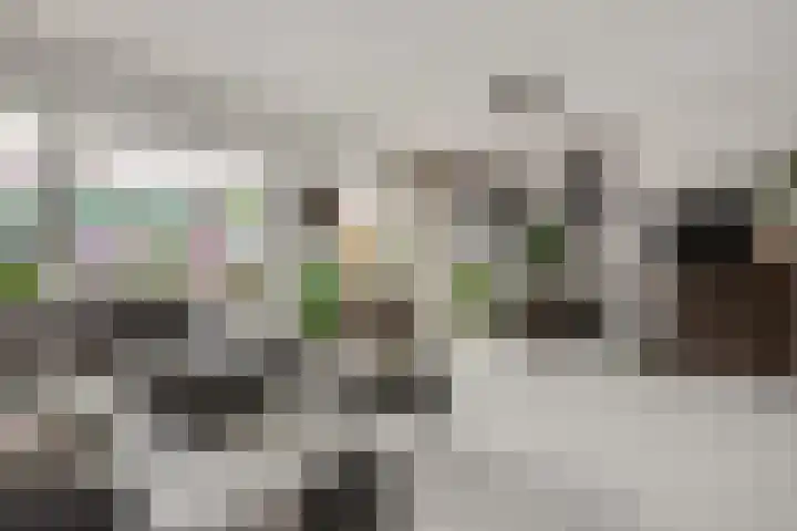 Mendelssohnlaan 10 Voorthuizen thumbnail 15