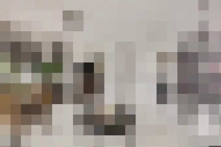 Mendelssohnlaan 10 Voorthuizen thumbnail 16