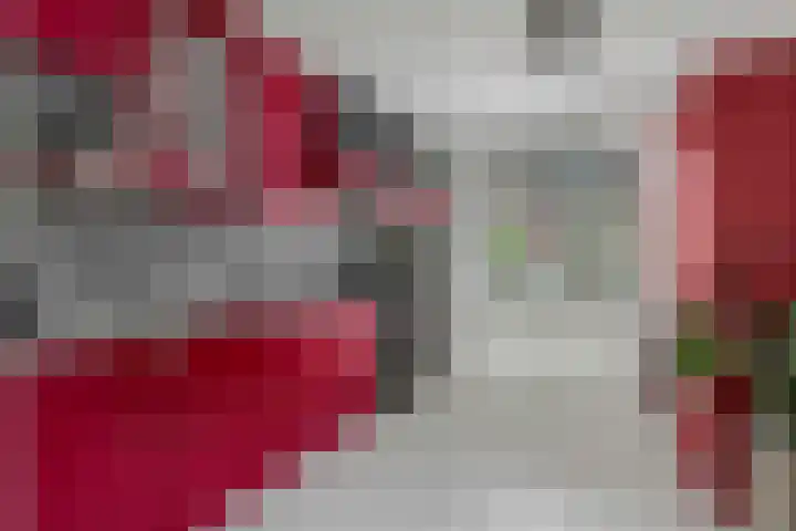 Mendelssohnlaan 10 Voorthuizen thumbnail 17