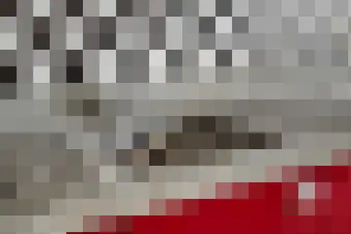 Mendelssohnlaan 10 Voorthuizen thumbnail 18
