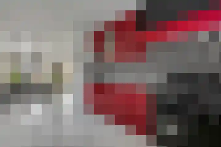 Mendelssohnlaan 10 Voorthuizen thumbnail 19