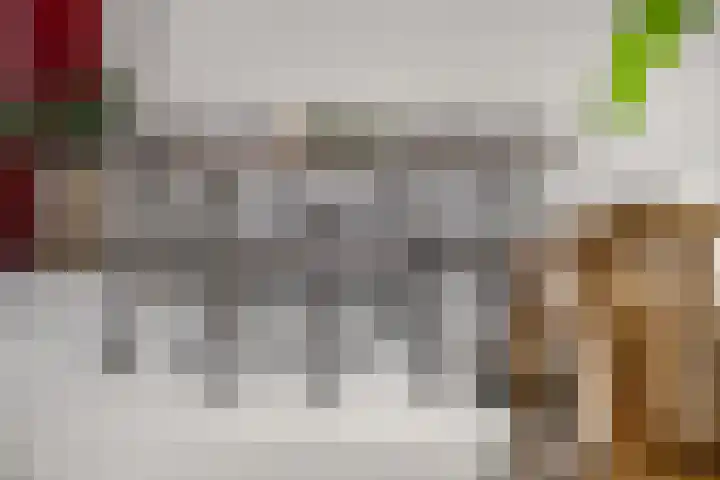 Mendelssohnlaan 10 Voorthuizen thumbnail 20