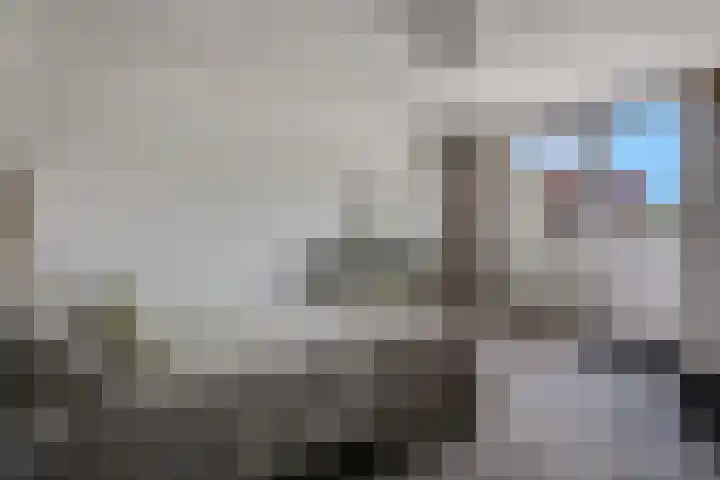 Mendelssohnlaan 10 Voorthuizen thumbnail 21