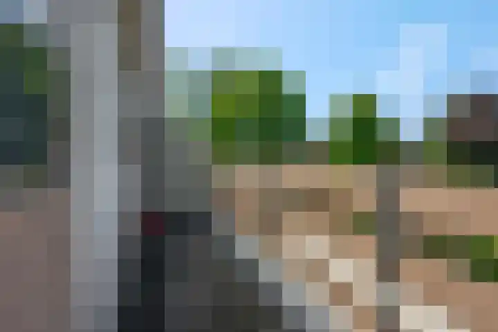 Mendelssohnlaan 10 Voorthuizen thumbnail 24
