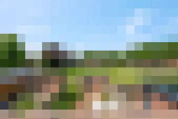 Mendelssohnlaan 10 Voorthuizen thumbnail 25