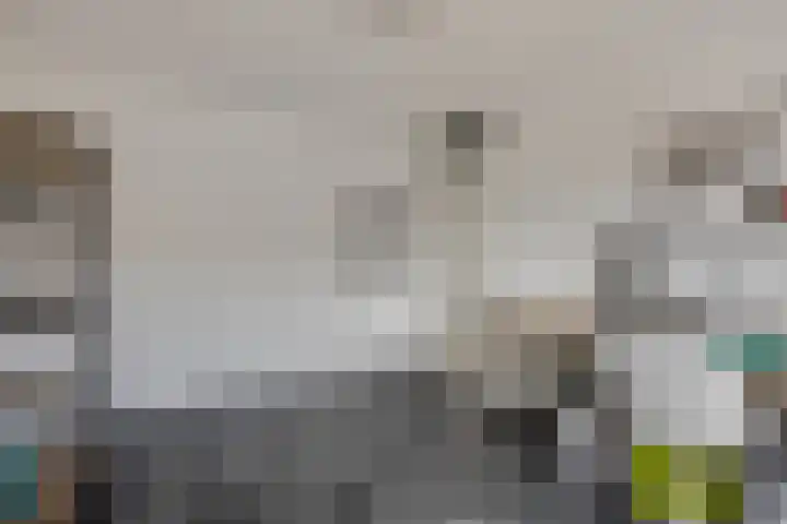 Mendelssohnlaan 10 Voorthuizen thumbnail 29