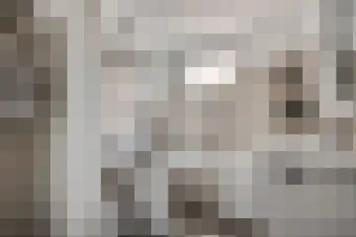 Mendelssohnlaan 10 Voorthuizen thumbnail 30