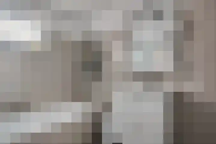 Mendelssohnlaan 10 Voorthuizen thumbnail 31