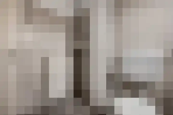Mendelssohnlaan 10 Voorthuizen thumbnail 32