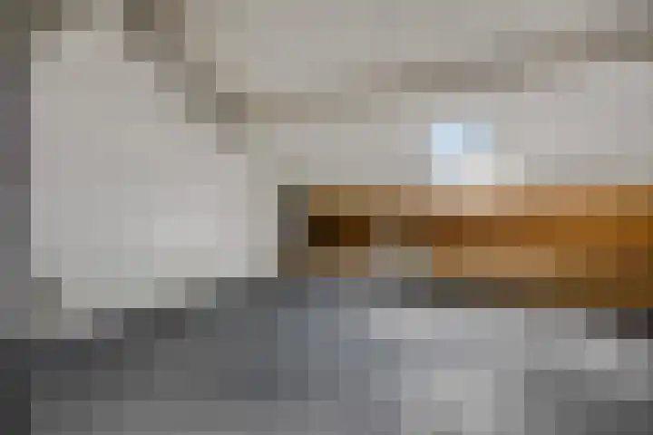 Mendelssohnlaan 10 Voorthuizen thumbnail 33