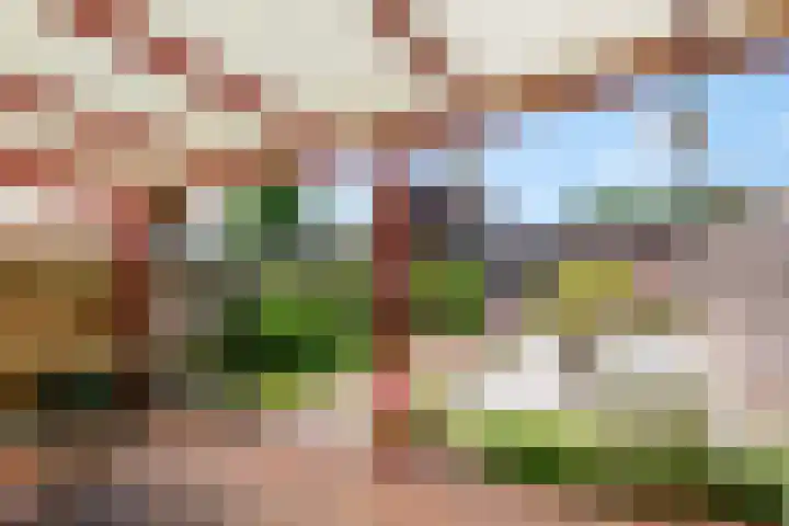 Mendelssohnlaan 10 Voorthuizen thumbnail 37