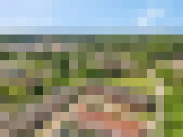 Mendelssohnlaan 10 Voorthuizen thumbnail 38