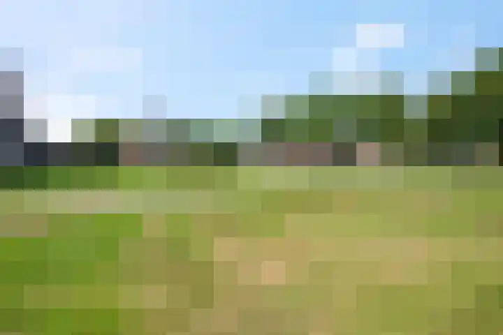 Mendelssohnlaan 10 Voorthuizen thumbnail 39