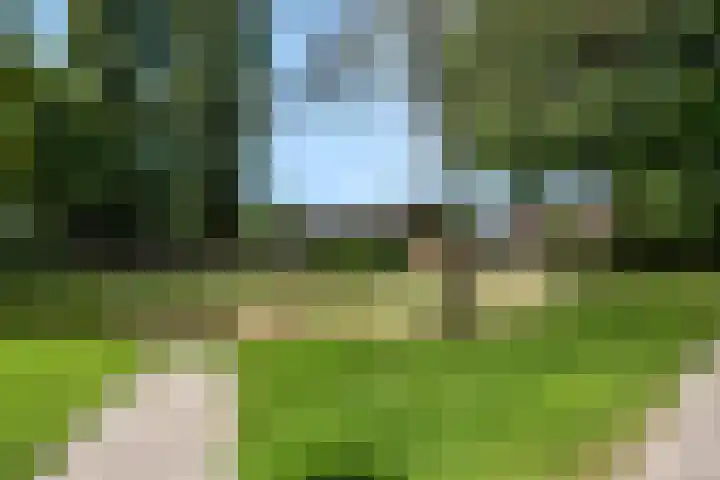 Mendelssohnlaan 10 Voorthuizen thumbnail 40