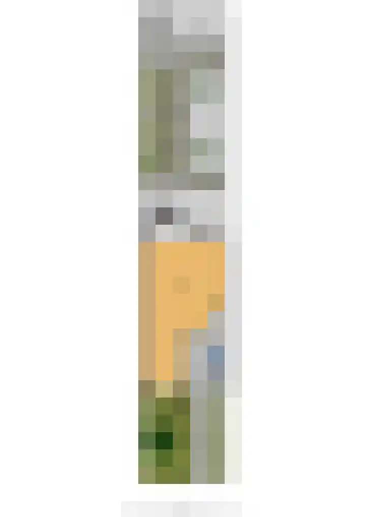 Mendelssohnlaan 10 Voorthuizen thumbnail 44