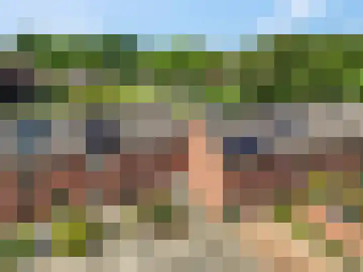 Mendelssohnlaan 10 Voorthuizen thumbnail 7