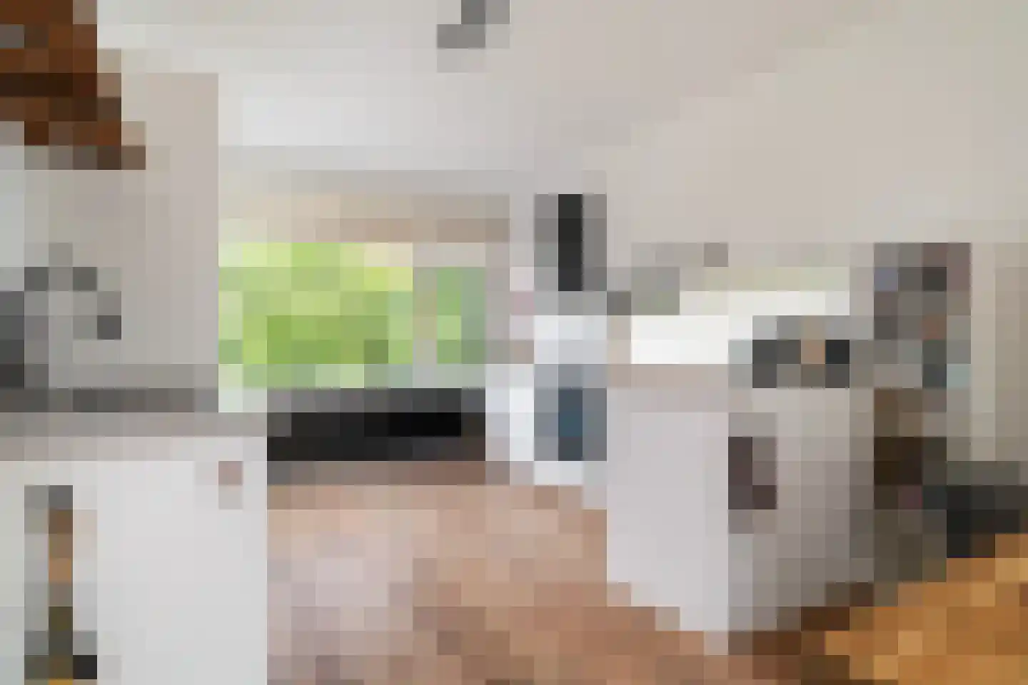 Mendelssohnlaan 109 Rotterdam thumbnail 6