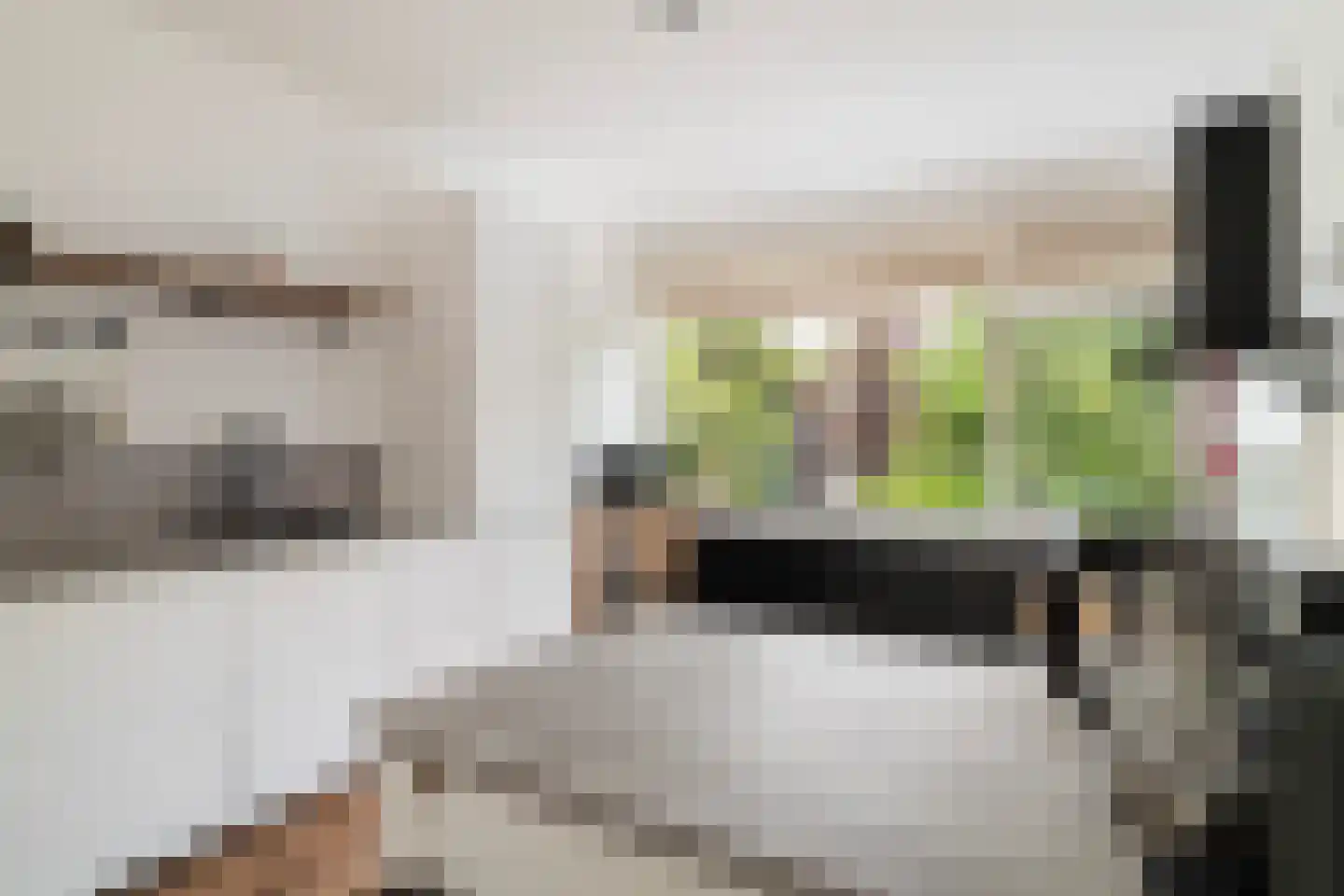 Mendelssohnlaan 109 Rotterdam thumbnail 7