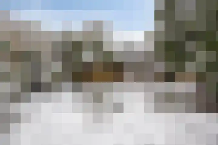 Mendelssohnlaan 12 Apeldoorn thumbnail 13