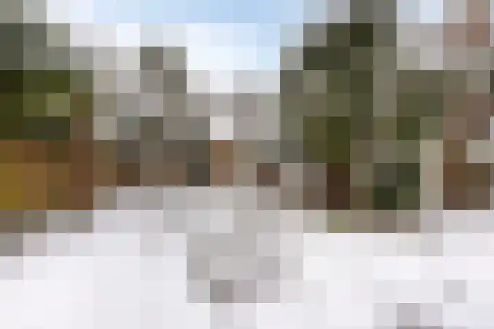 Mendelssohnlaan 12 Apeldoorn thumbnail 14