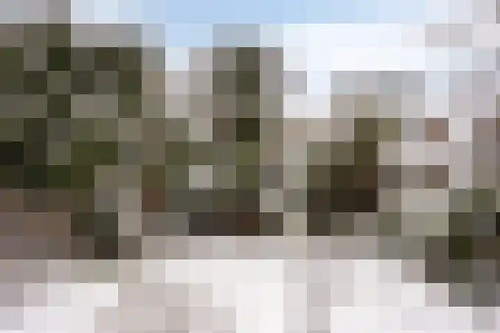 Mendelssohnlaan 12 Apeldoorn thumbnail 15