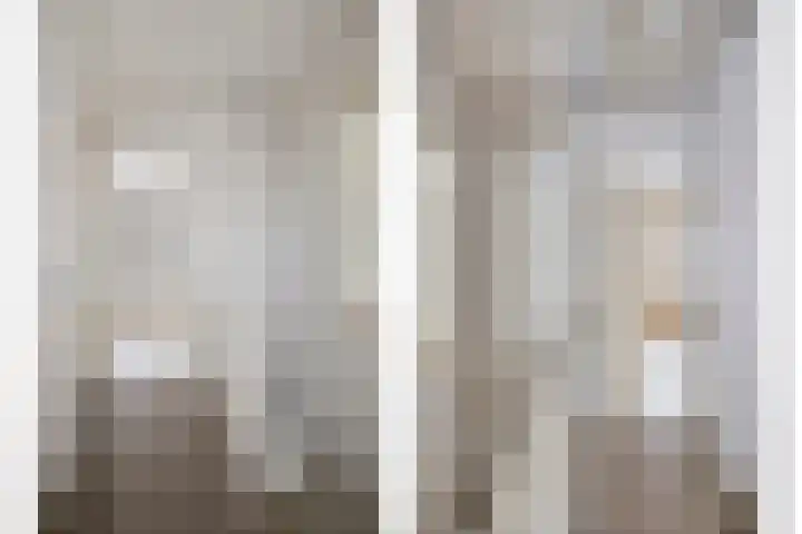 Mendelssohnlaan 12 Apeldoorn thumbnail 16