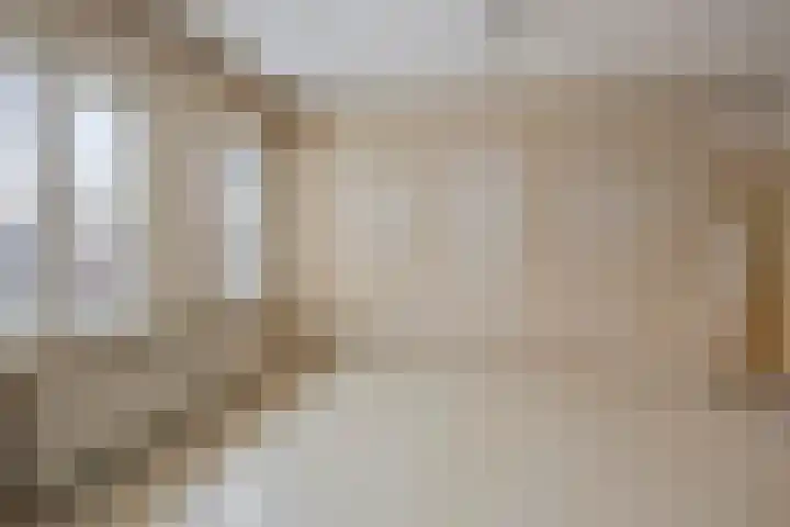 Mendelssohnlaan 12 Apeldoorn thumbnail 19