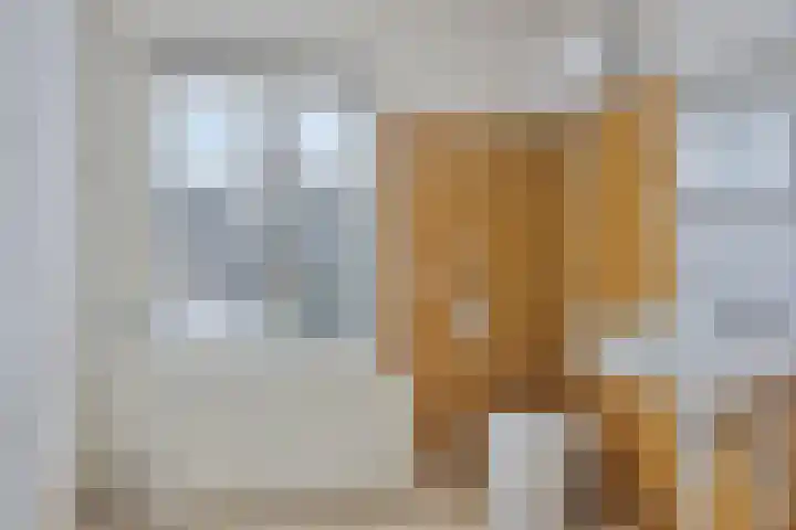 Mendelssohnlaan 12 Apeldoorn thumbnail 20