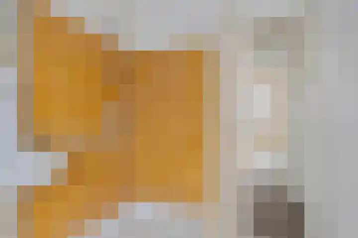 Mendelssohnlaan 12 Apeldoorn thumbnail 21