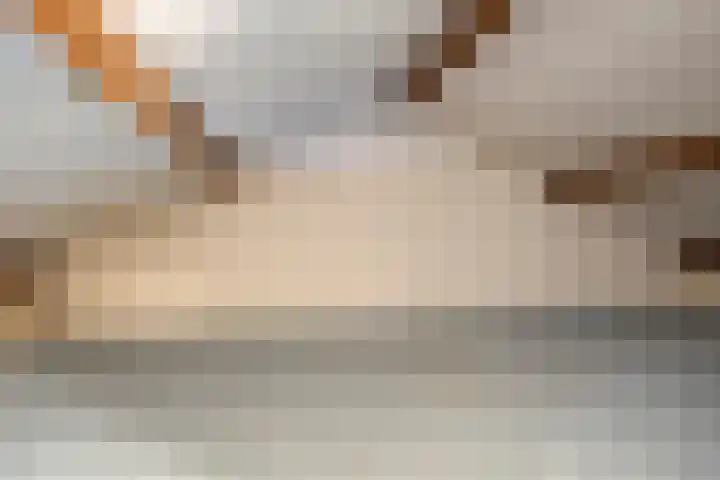 Mendelssohnlaan 12 Apeldoorn thumbnail 25
