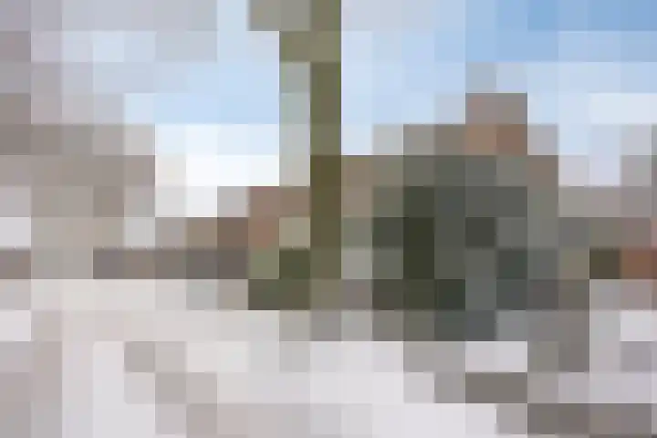 Mendelssohnlaan 12 Apeldoorn thumbnail 26