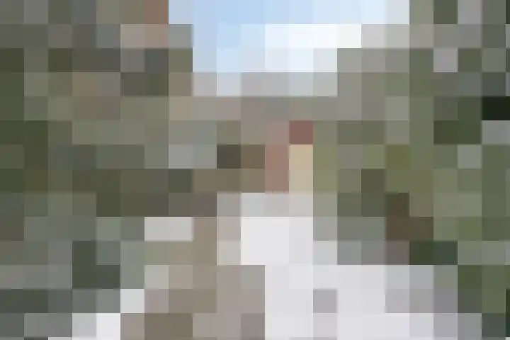 Mendelssohnlaan 12 Apeldoorn thumbnail 27