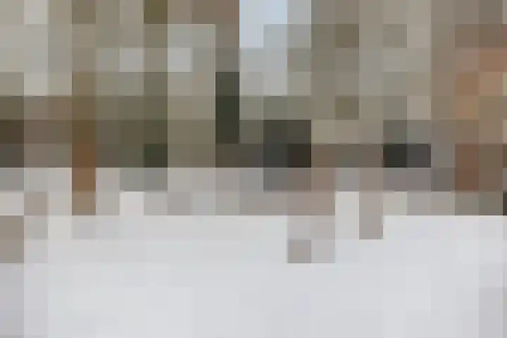 Mendelssohnlaan 12 Apeldoorn thumbnail 28